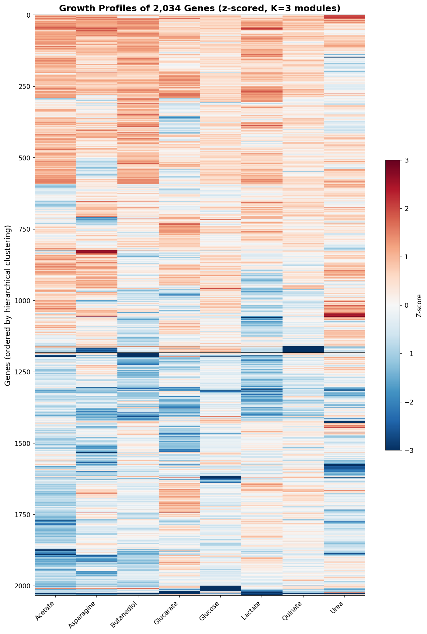 Growth profiles of all 2,034 genes ordered by hierarchical clustering