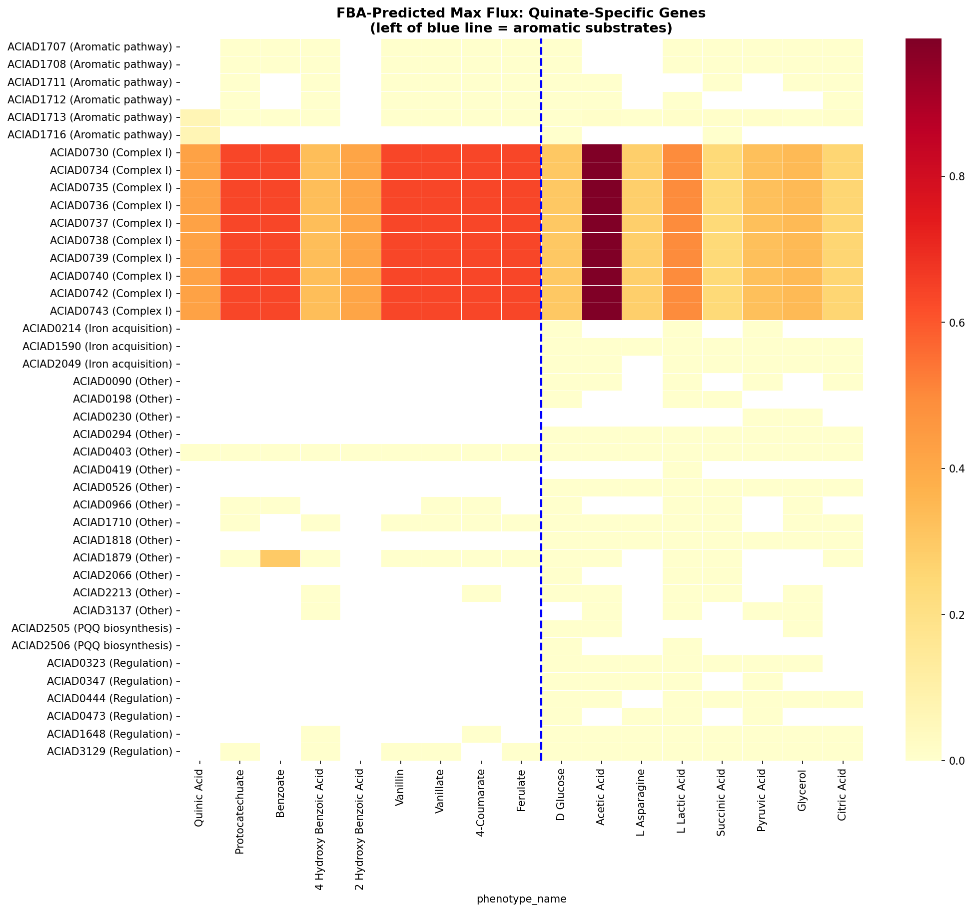 FBA-predicted flux heatmap for quinate-specific genes