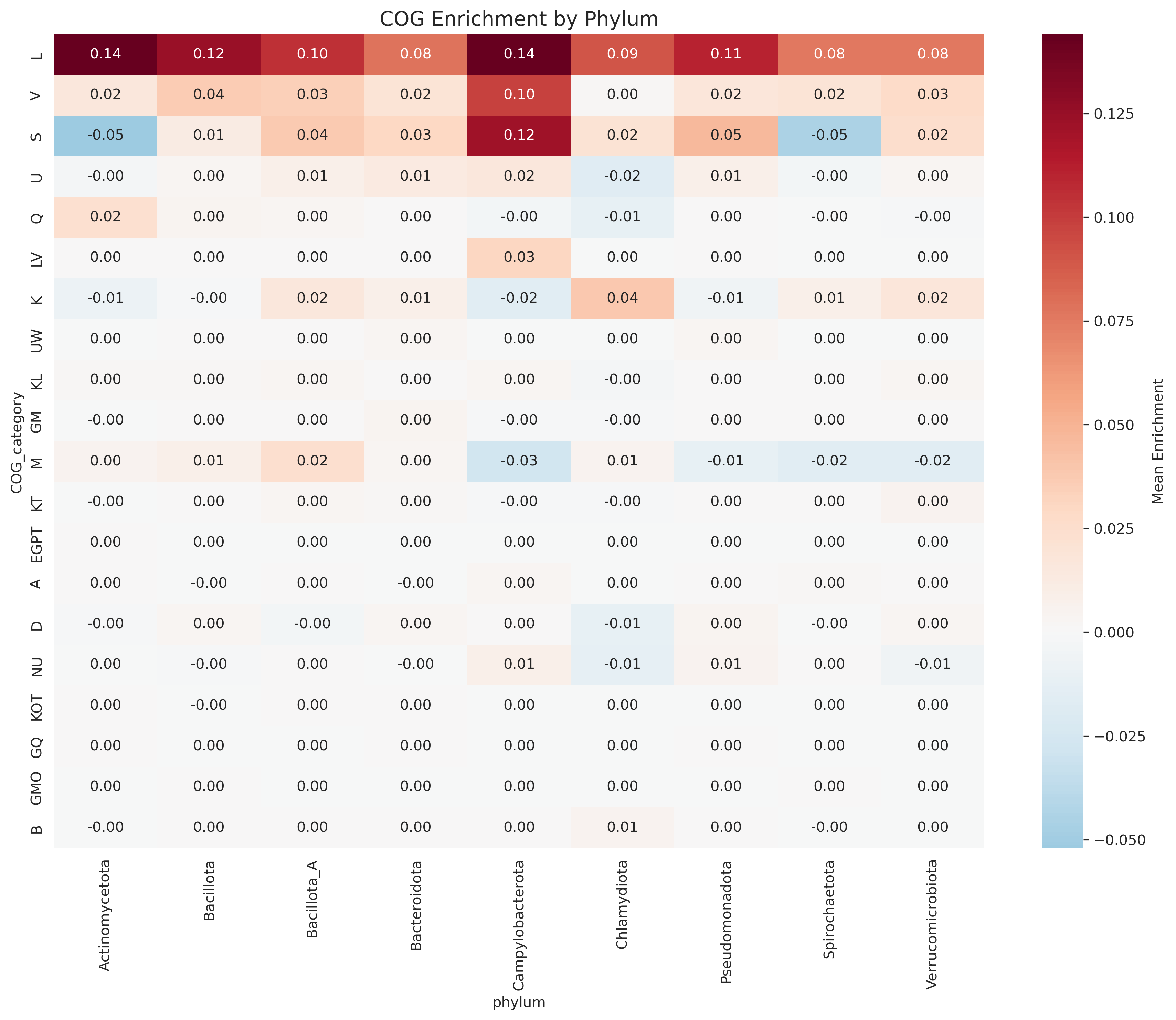 Cog Enrichment By Phylum