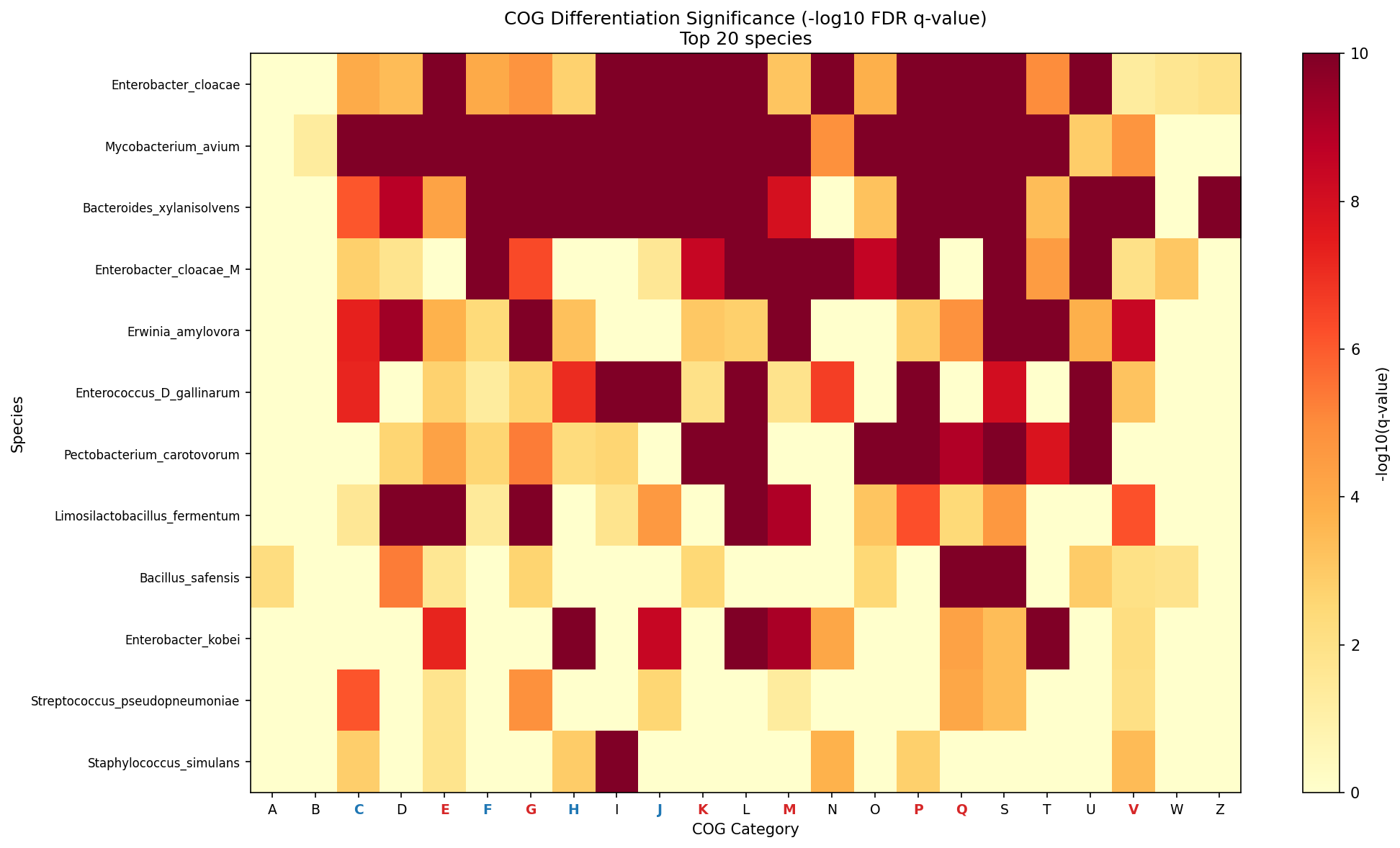 Heatmap of COG differentiation significance across species