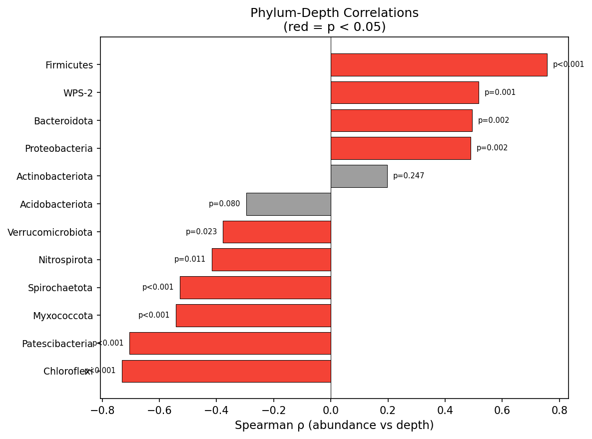 Phylum-depth correlations