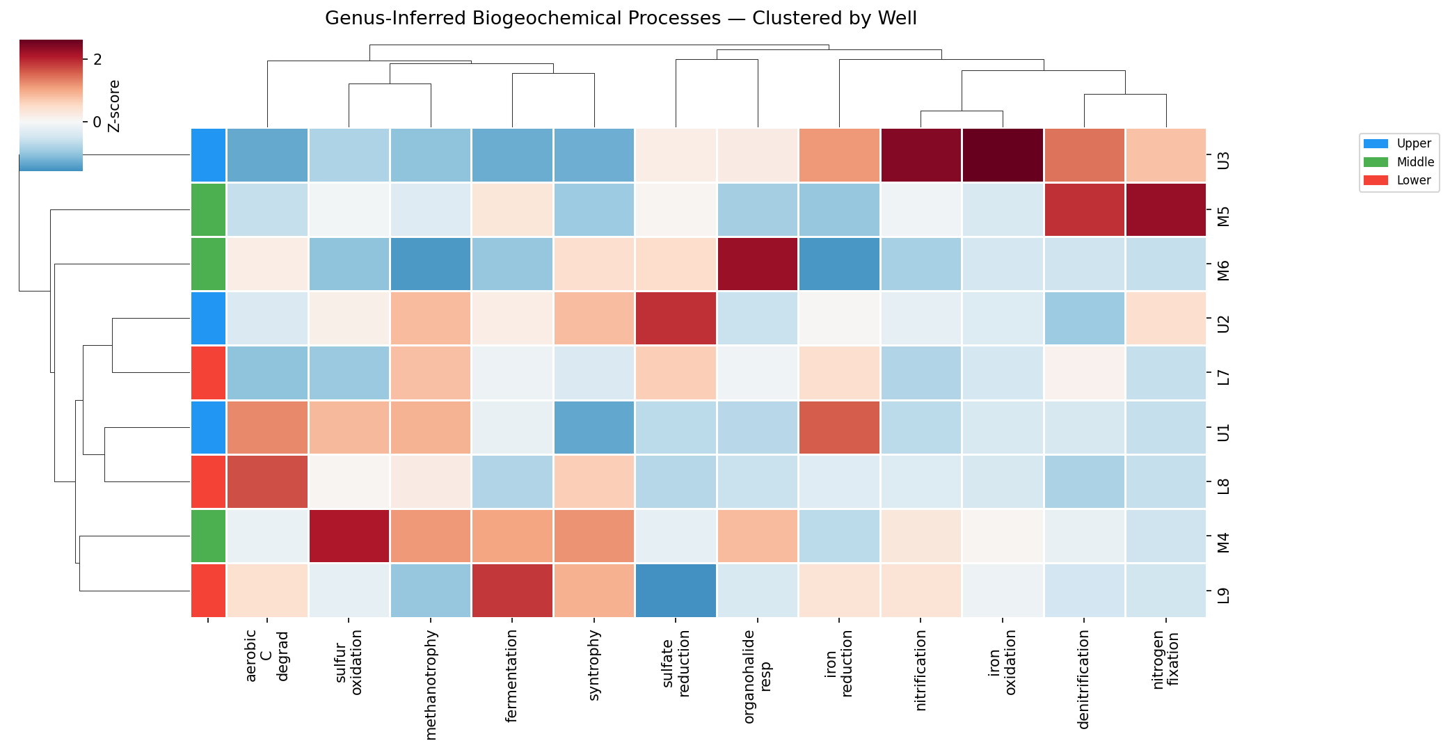 Clustered heatmap of genus-level processes
