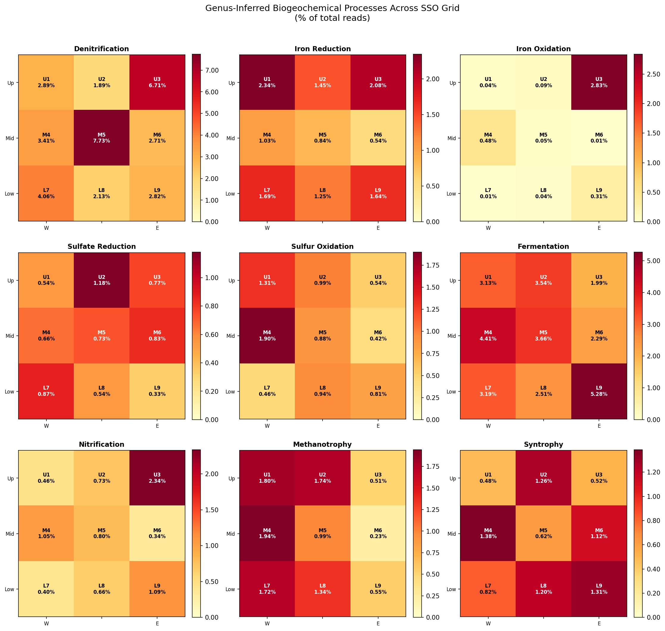Genus-inferred biogeochemical processes across the SSO grid