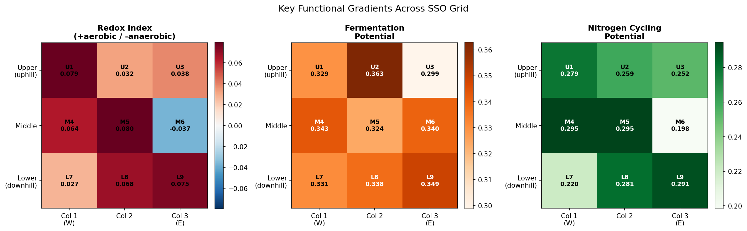 Key functional gradients: redox, fermentation, nitrogen