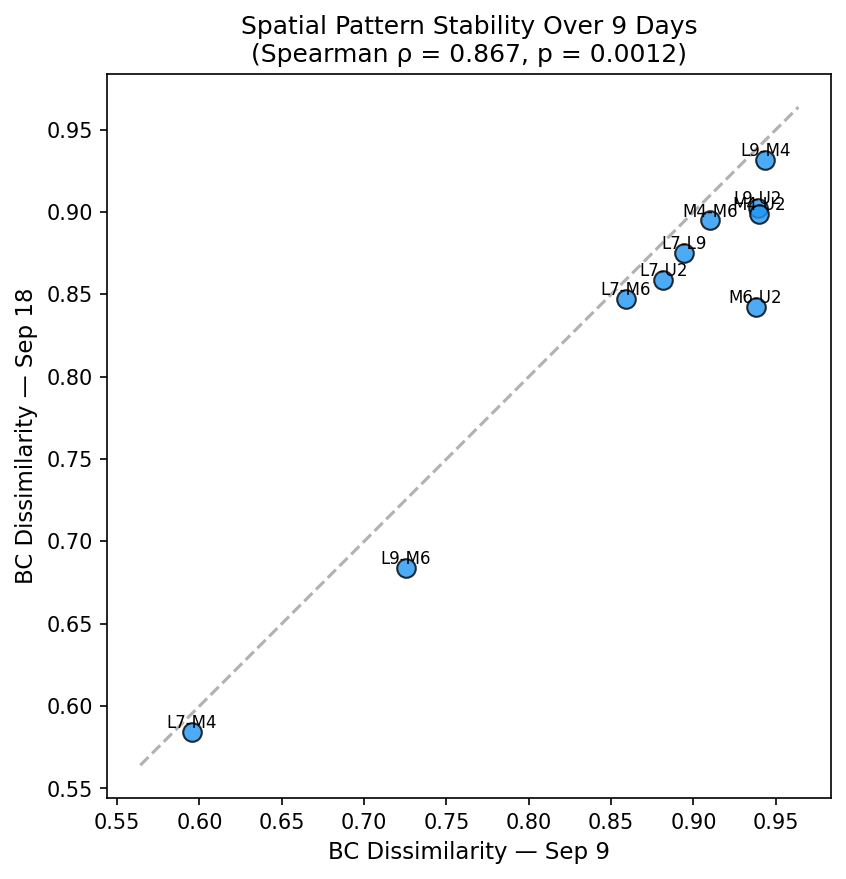 Spatial pattern stability across dates