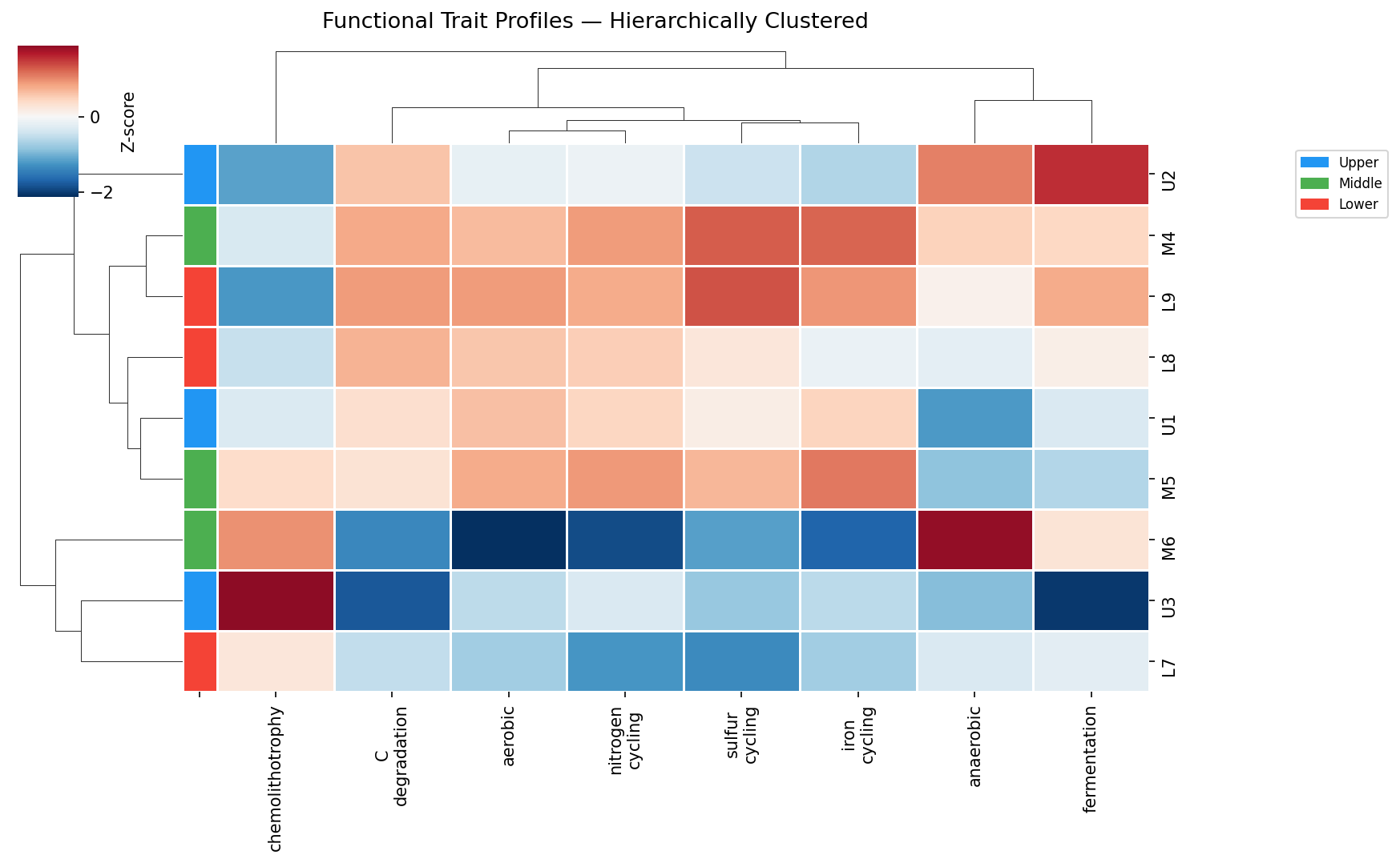 Class-level trait clustermap