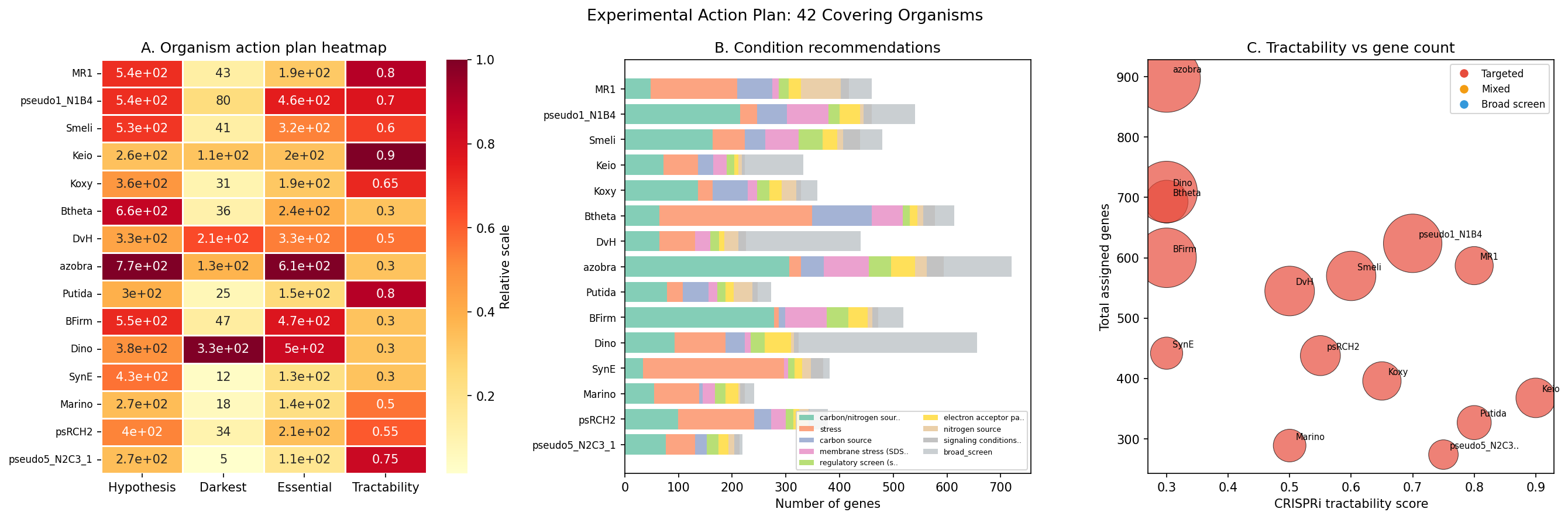 Experimental action plan