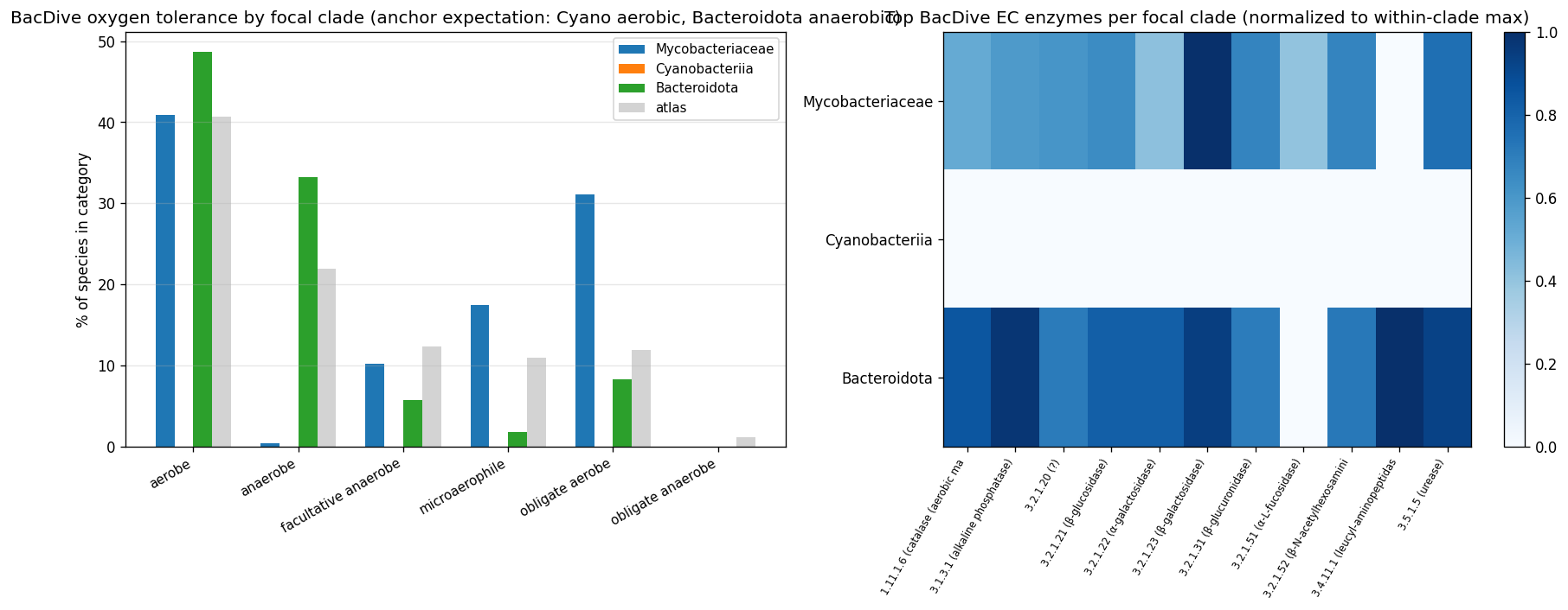 P4-D1 BacDive phenotype