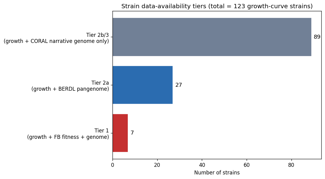 Nb00 Strain Tiers