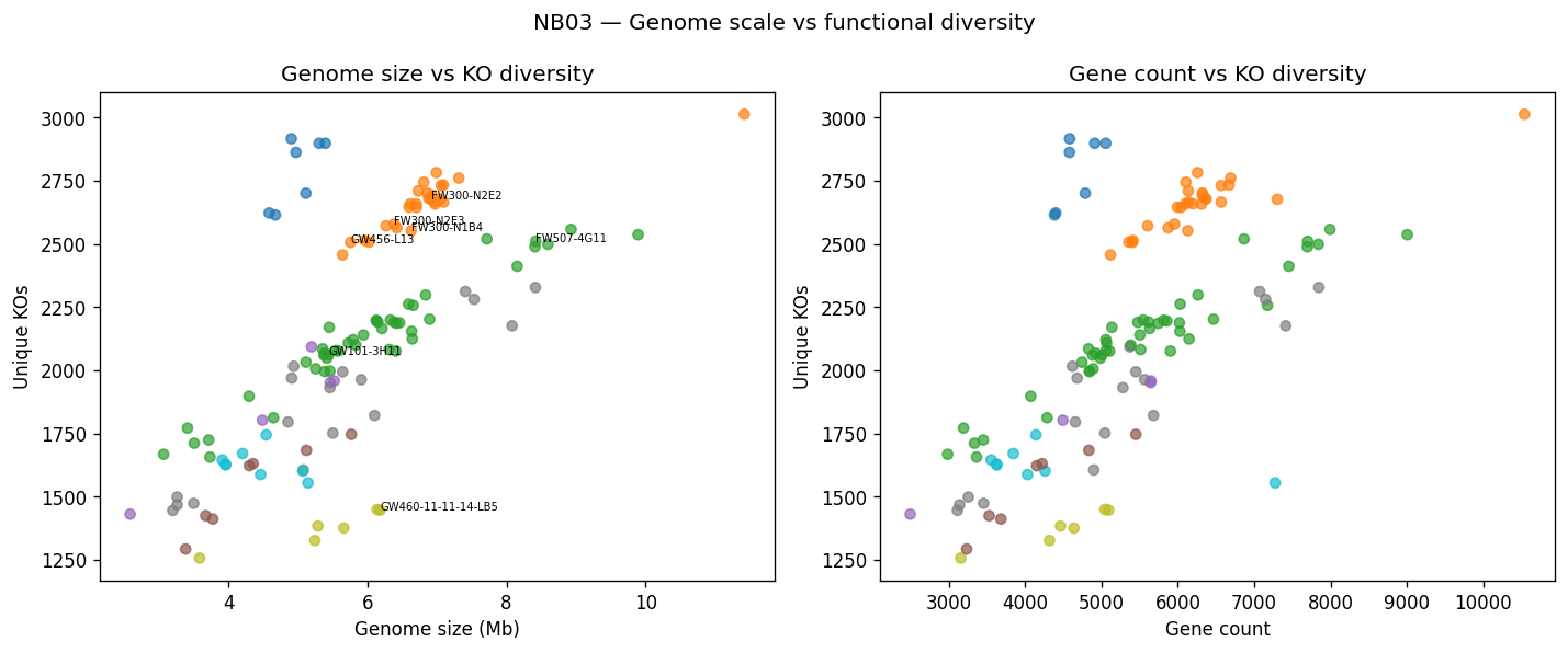 Nb03 Genome Vs Ko