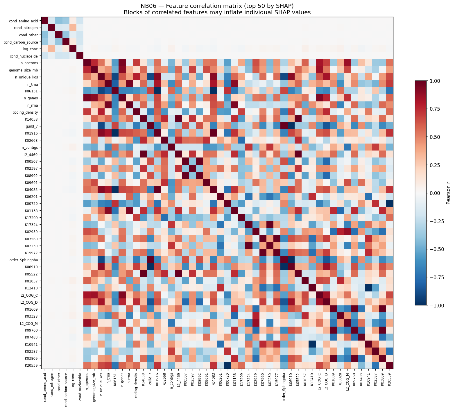 Nb06 Feature Correlation