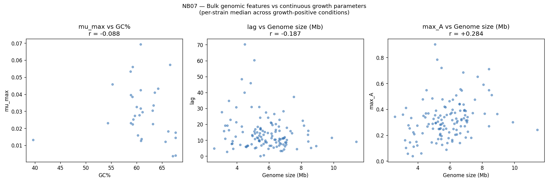 Nb07 Bulk Vs Continuous