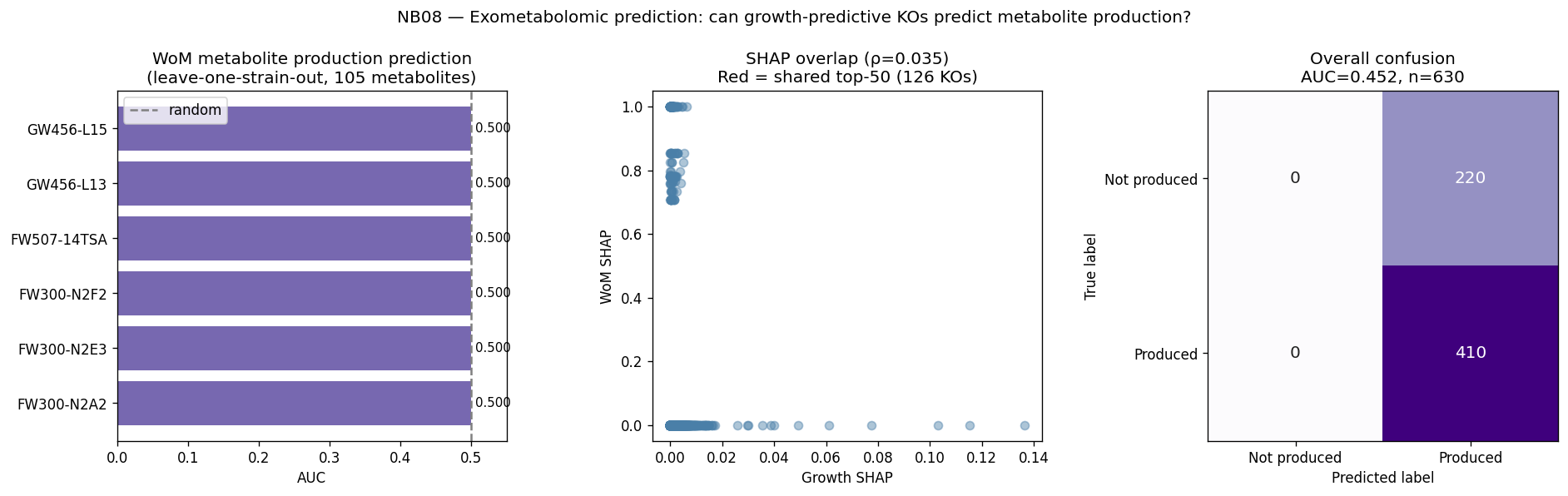 Nb08 Wom Prediction