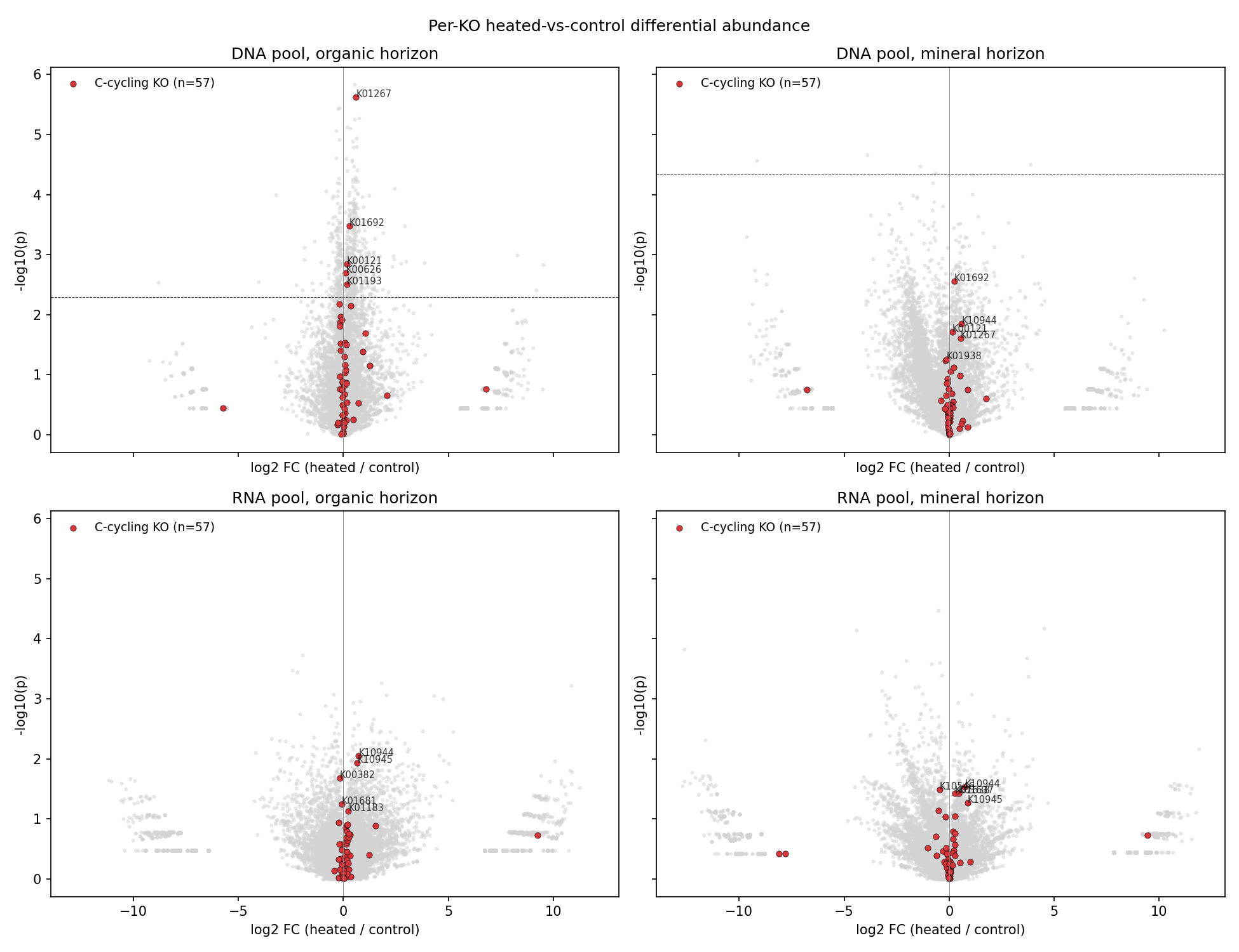 Volcano plot: per-KO heated-vs-control DA, with C-cycling KOs highlighted