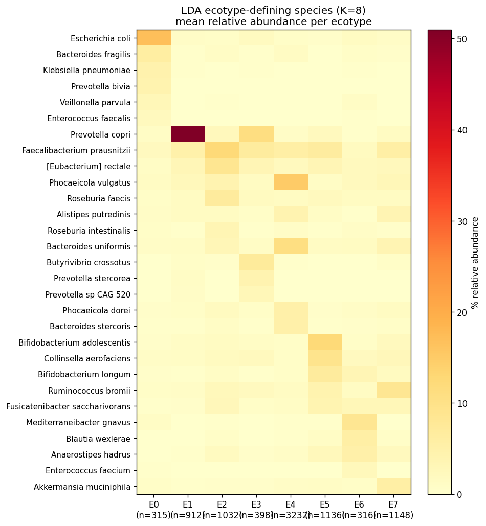 Nb01 Ecotype Species Heatmap