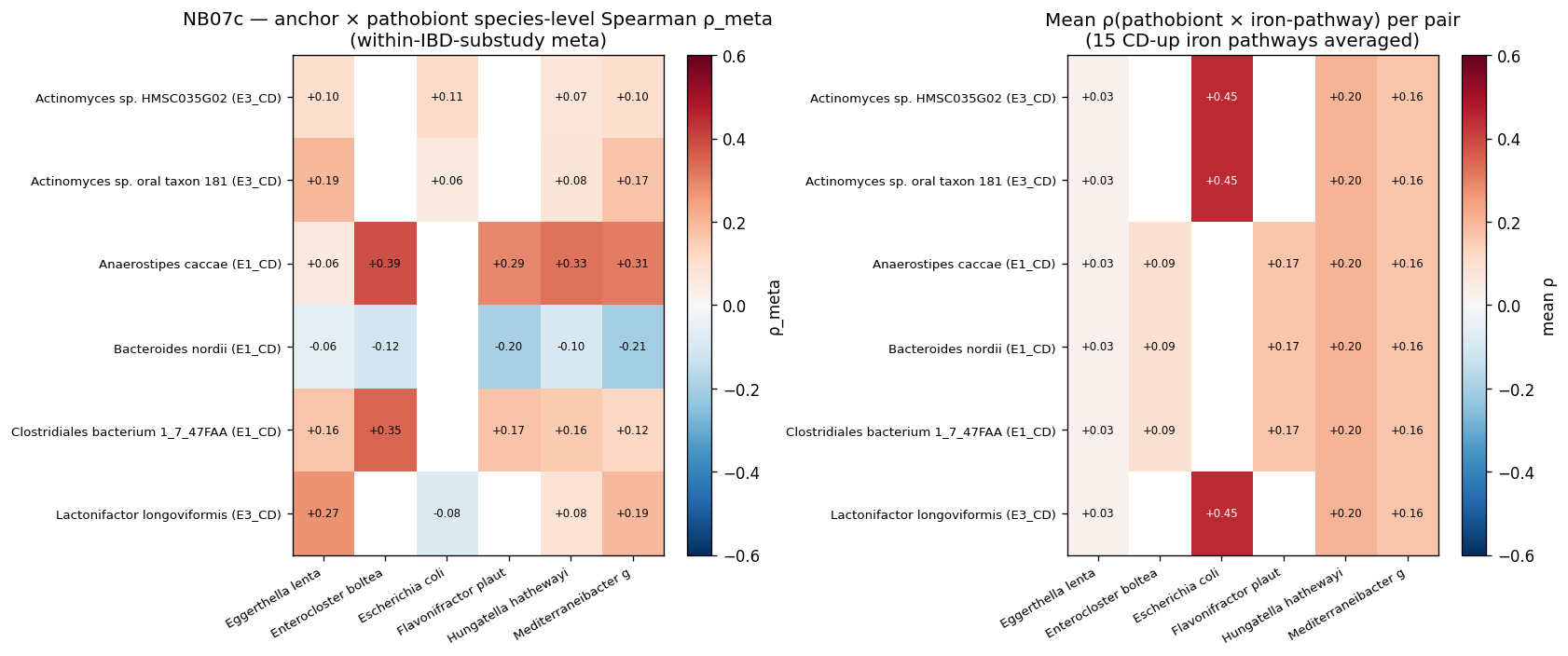 NB07c module-anchor × pathobiont coupling (species ρ heatmap + iron-context heatmap)
