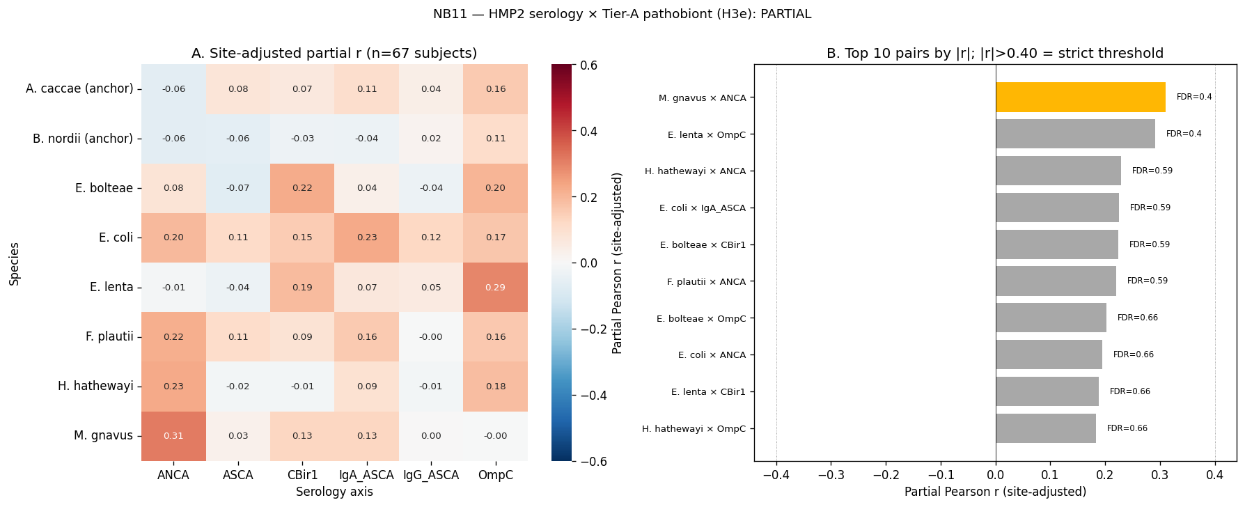 NB11 — partial Pearson r heatmap (species × serology axis) + top 10 pairs scatter