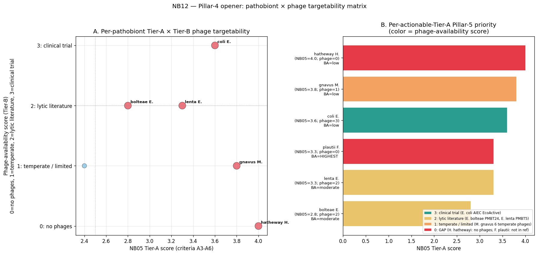 NB12 — Pillar-4 opener: pathobiont × phage targetability matrix