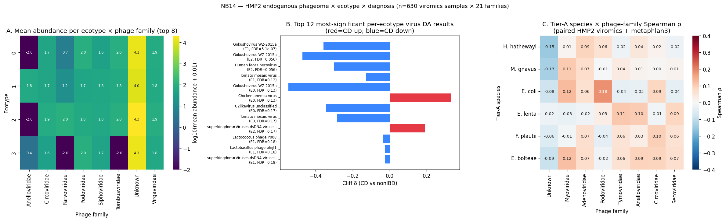 NB14 — HMP2 endogenous phageome × ecotype × diagnosis