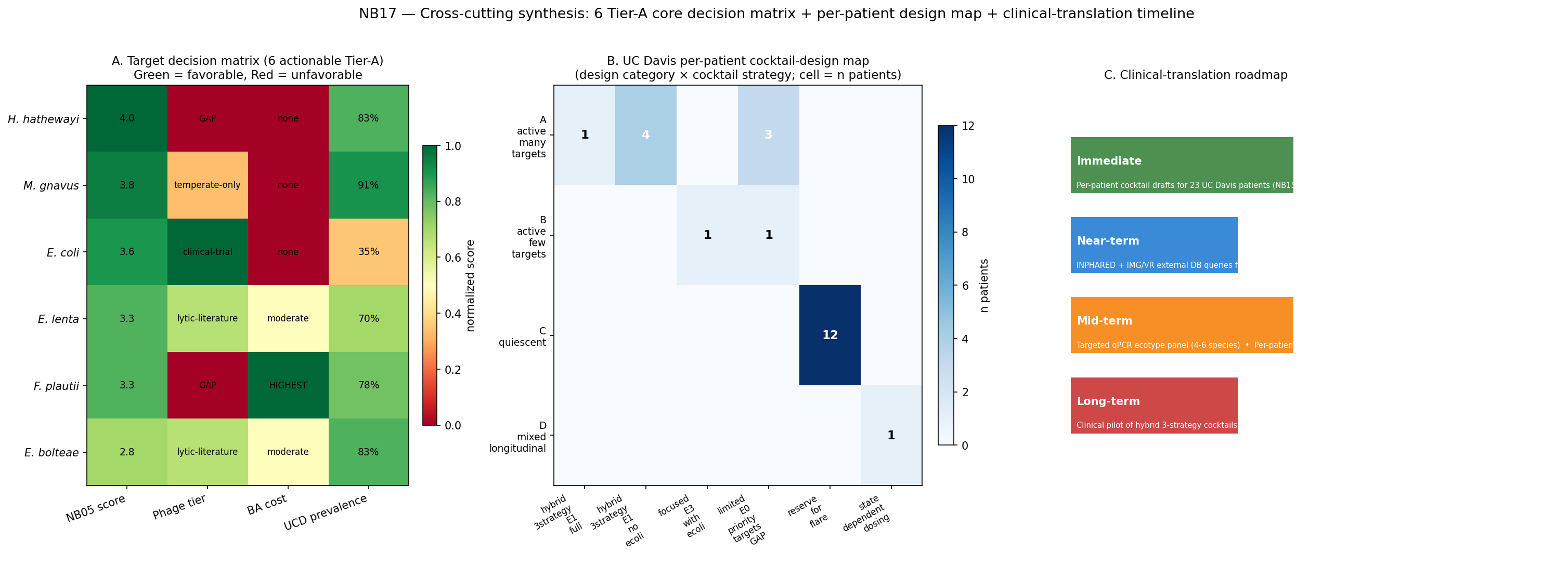 NB17 — Cross-cutting synthesis: target decision matrix + per-patient design map + clinical-translation roadmap