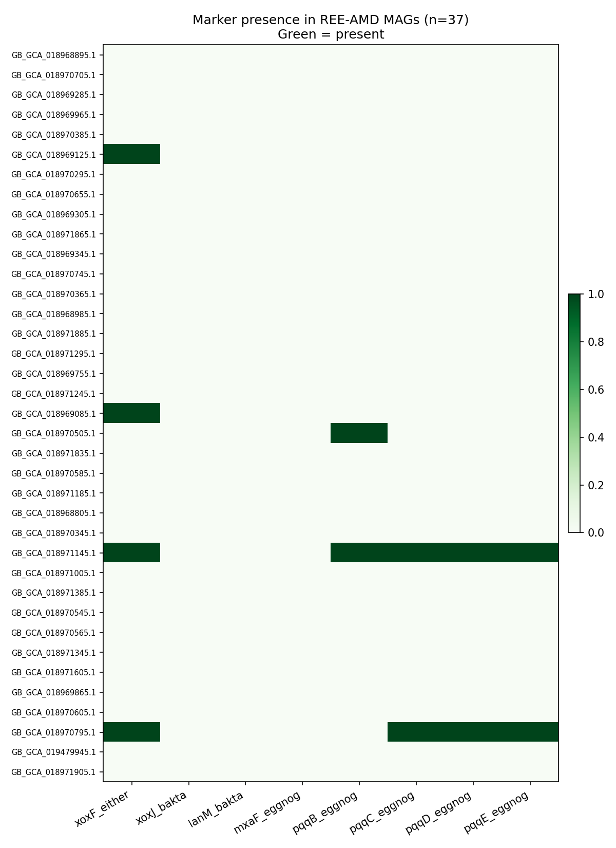 Marker presence in REE-AMD MAGs
