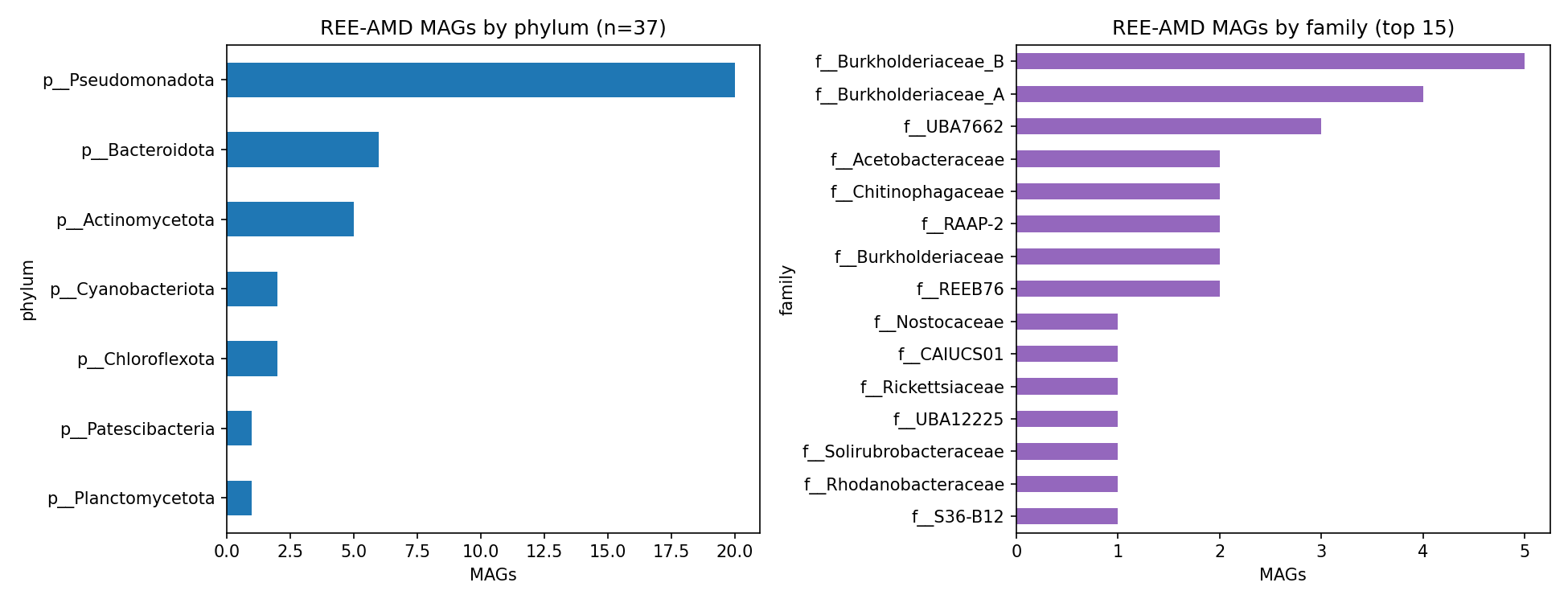 REE-AMD MAG taxonomy