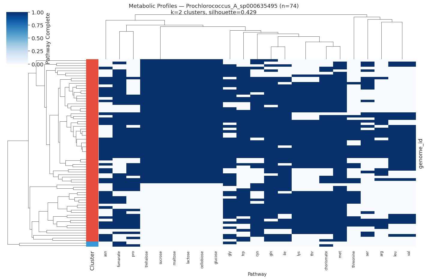 Prochlorococcus metabolic profile heatmap