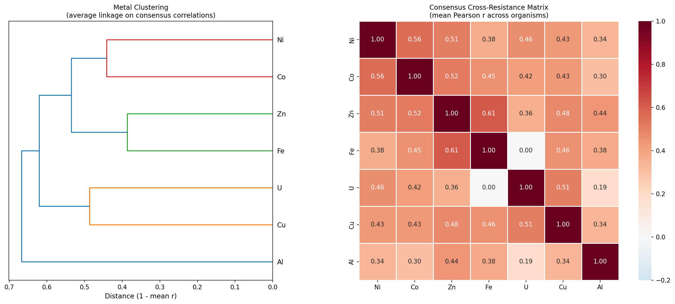 Consensus clustering