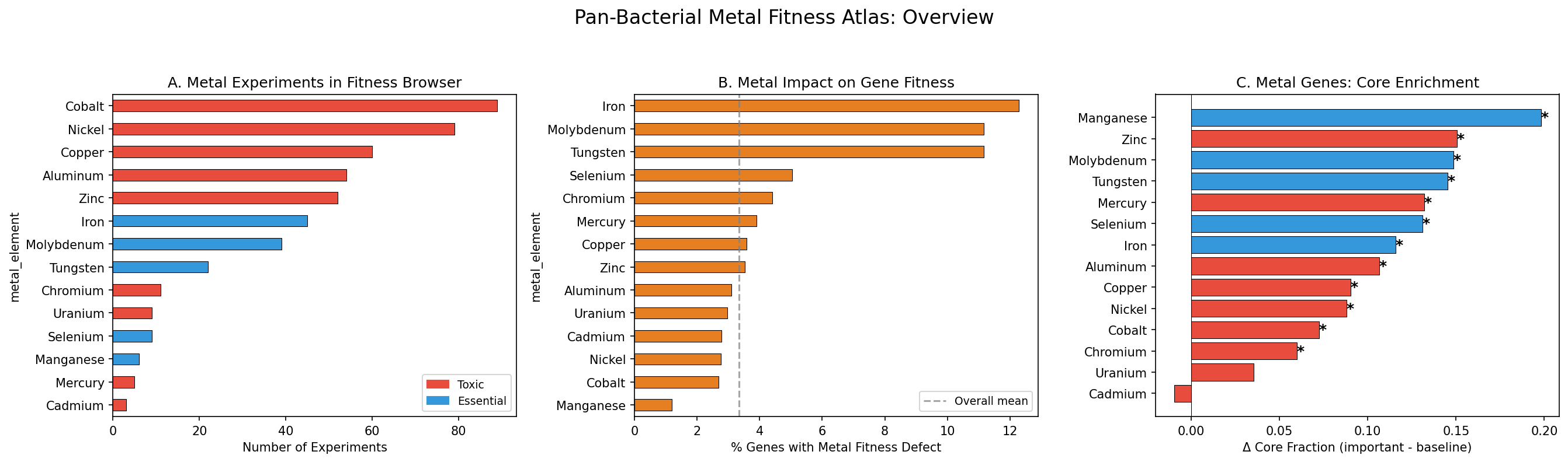 Summary Atlas Overview