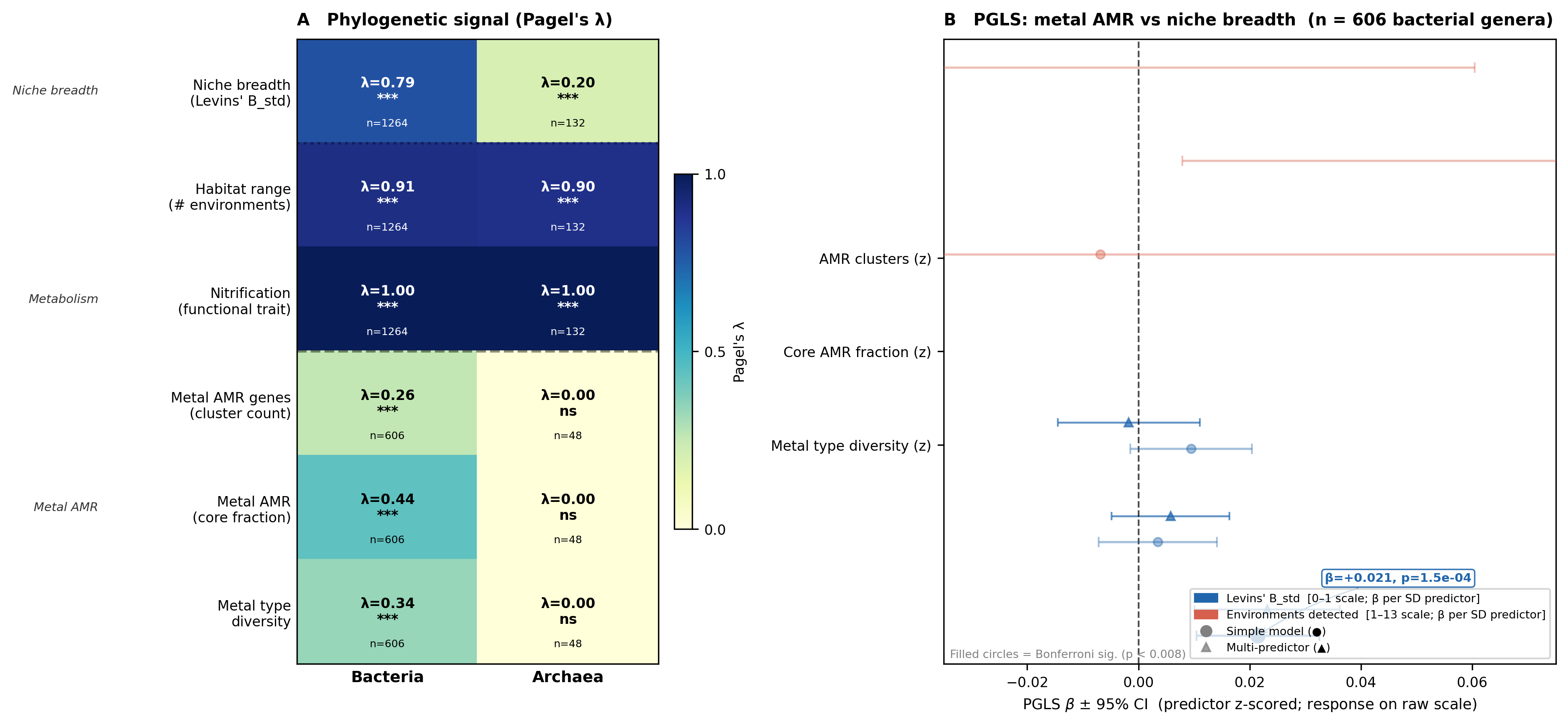 Synthesis figure: Pagel's λ heatmap (Panel A) and PGLS forest plot (Panel B)