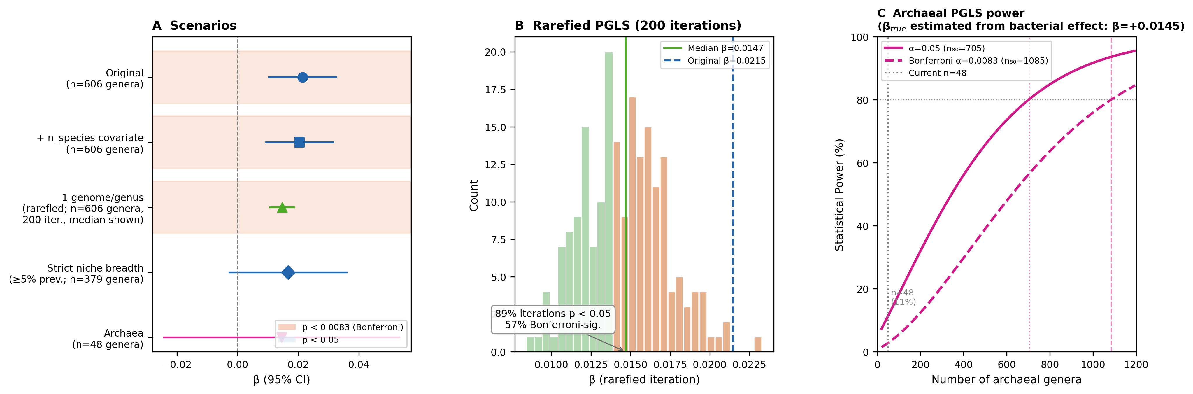 Robustness summary: Panel A — β across 5 analysis scenarios; Panel B — rarefied β distribution (200 iterations); Panel C — archaeal power curve