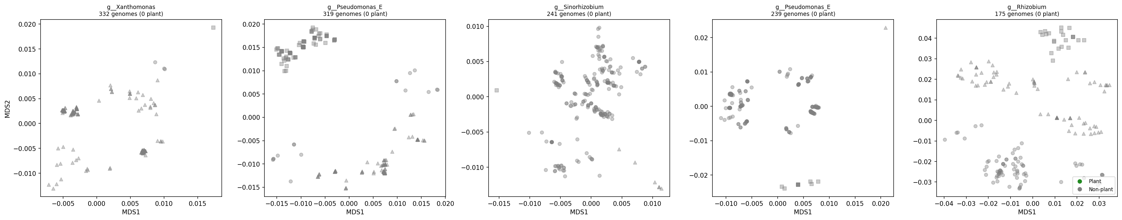Subclade Analysis