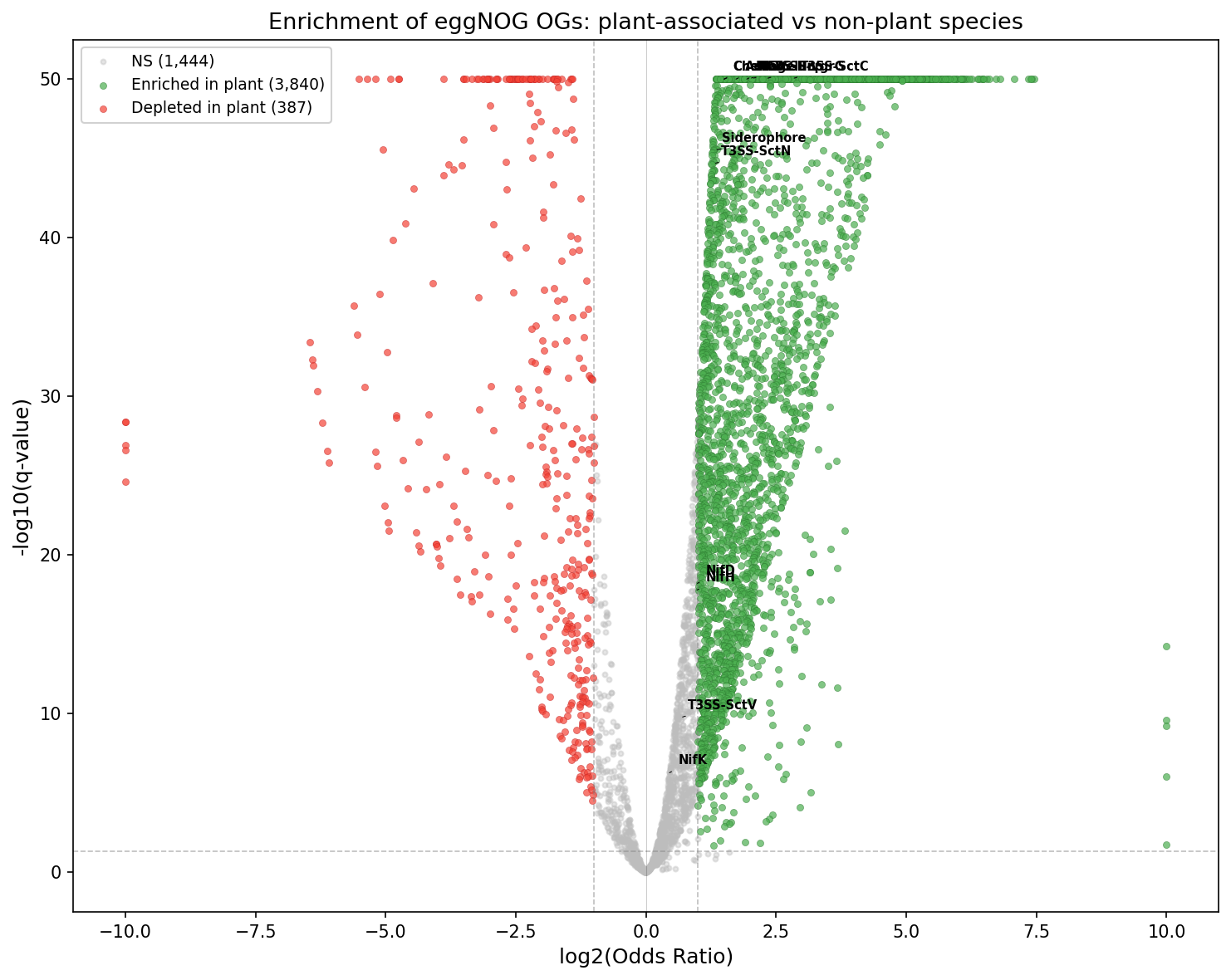 Volcano plot of eggNOG OG enrichment