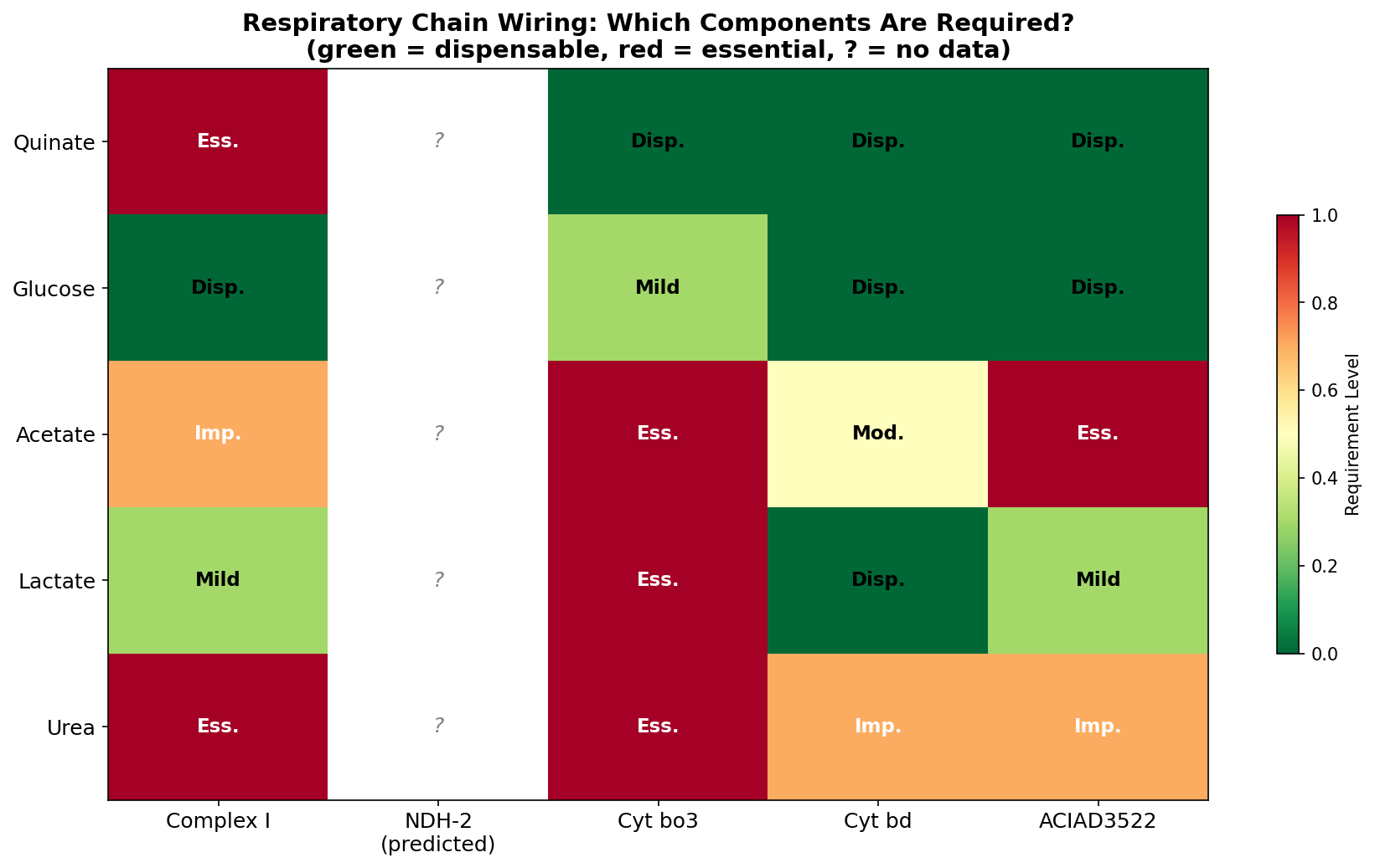 Respiratory chain wiring matrix